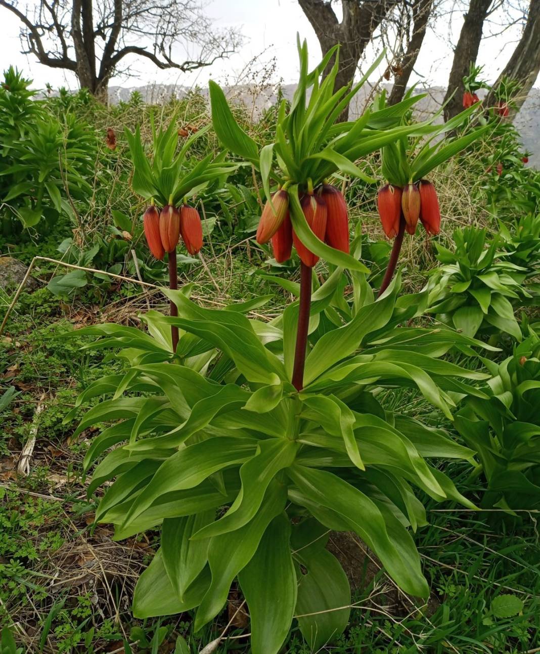 Bu insanlar neye bakıyor? Gece-gündüz nöbet tutuyorlar, ilk kez görenler şaştı kaldı! 54